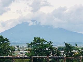 IMG_3115.jpeg